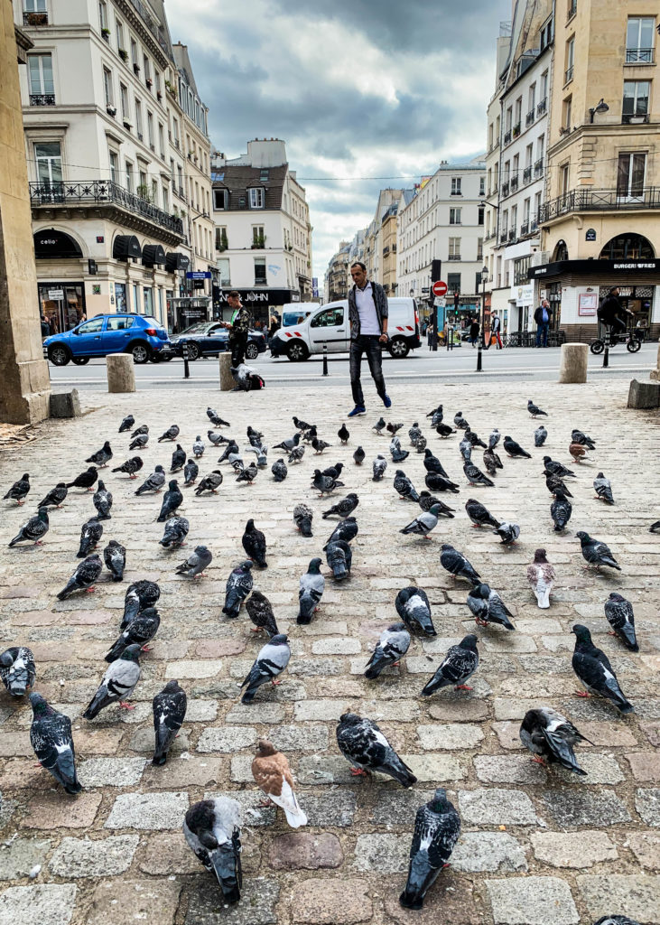 Flocking friends